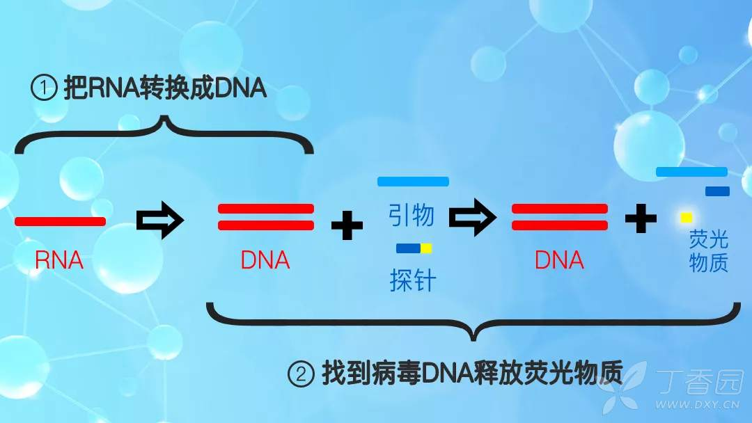 核酸檢測用到的技術