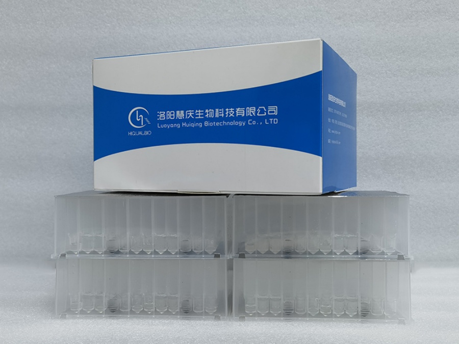 真菌核酸提取需要注意什么？